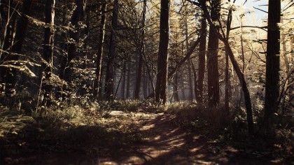 Blair Witch скриншоты