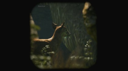 Morels: The Hunt скриншоты