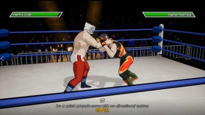 CHIKARA: Action Arcade Wrestling игра