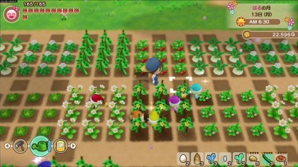 Story of Seasons: Friends of Mineral Town скриншоты