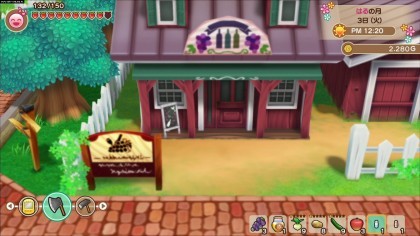 Story of Seasons: Friends of Mineral Town скриншоты