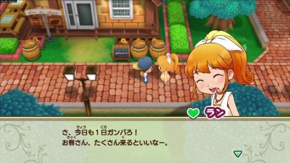 Story of Seasons: Friends of Mineral Town скриншоты