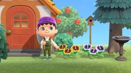 Animal Crossing: New Horizons скриншоты