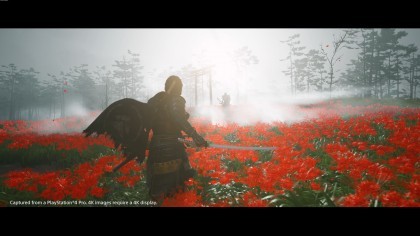 Ghost of Tsushima скриншоты