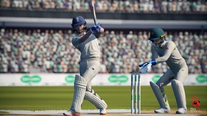 Cricket 22 - The Official Game of the Ashes скриншоты