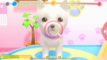 Pups & Purrs Animal Hospital игра