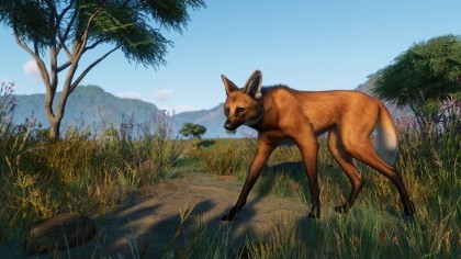 Planet Zoo: Grasslands скриншоты