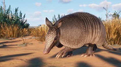 Planet Zoo: Grasslands скриншоты