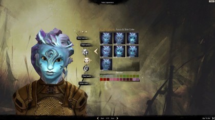 Guild Wars 2 скриншоты