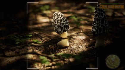 Morels: The Hunt 2 скриншоты