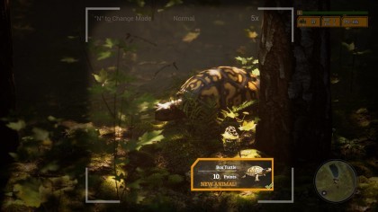 Morels: The Hunt 2 скриншоты