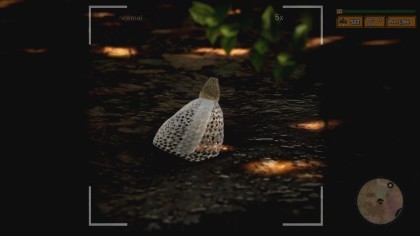 Morels: The Hunt 2 скриншоты